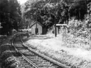 Zastvka u odboky Tasovice (km 19,3), rok 1956